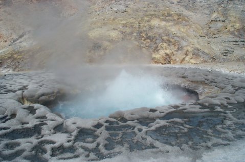 Ancient microbes are found in hot volcanic pools (photo: Malcolm White)